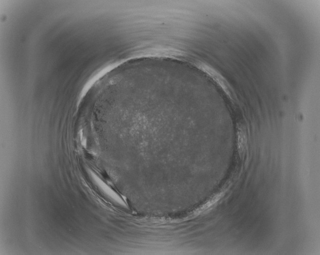 X0000081571069200701291209