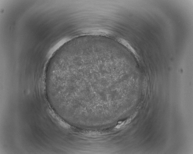 X0000081571071200701291209