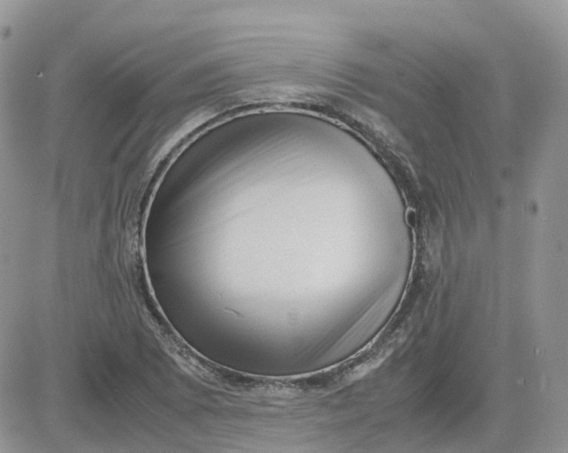 X0000081571073200701291209