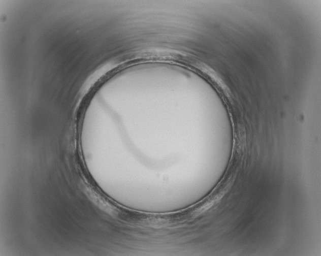 X0000081571075200701291209