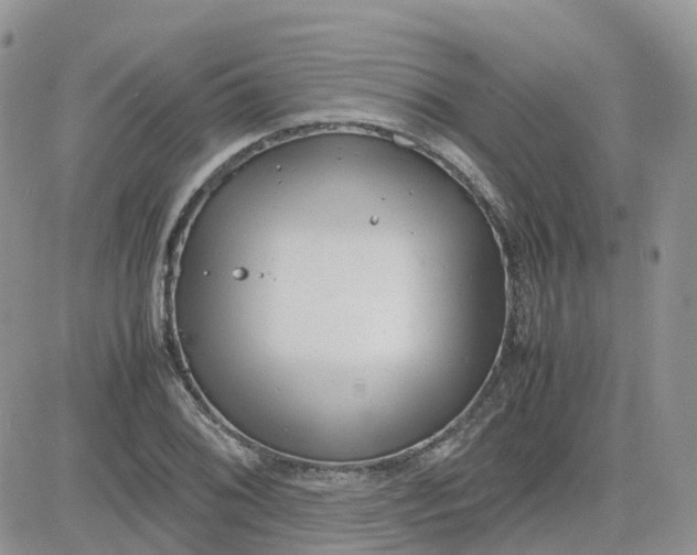 X0000081571076200701291209