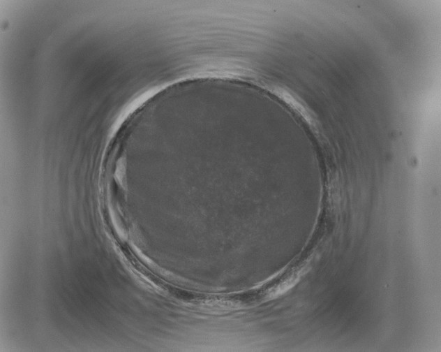 X0000081571077200701291209