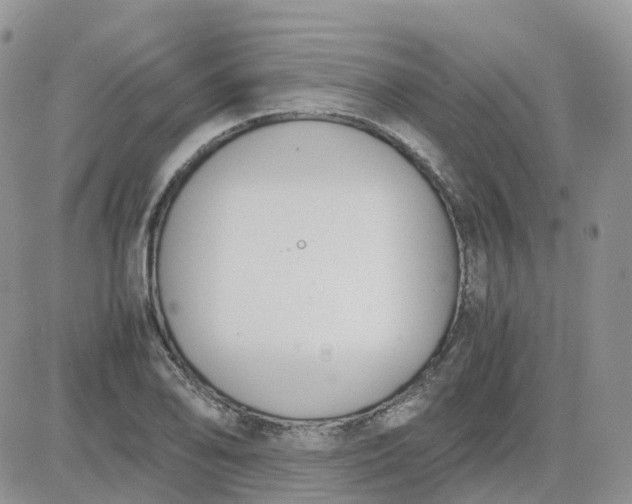 X0000081571078200701291209