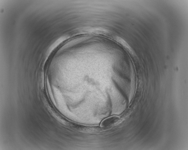 X0000081571079200701291209