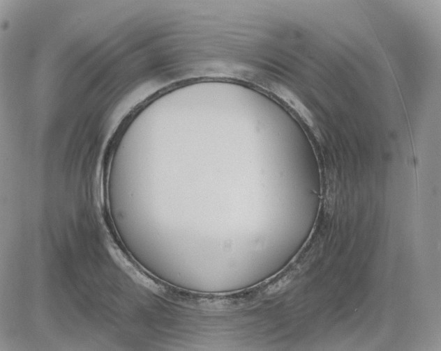 X0000081571080200701291209