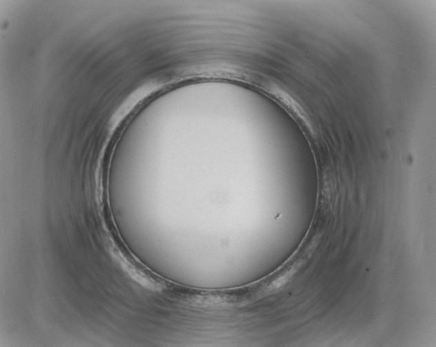 X0000081571082200701291209