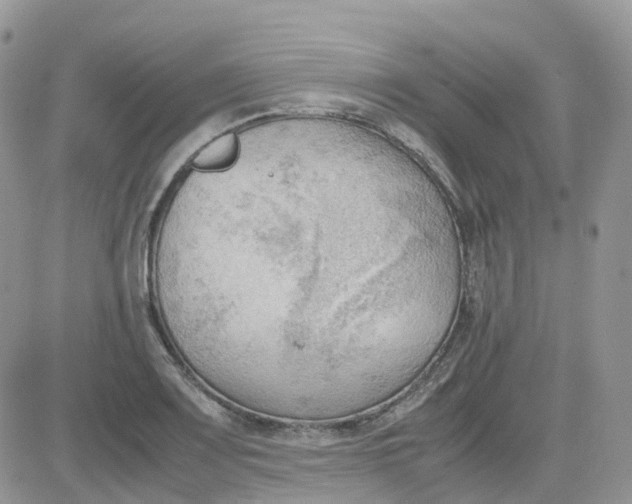 X0000081571083200701291209