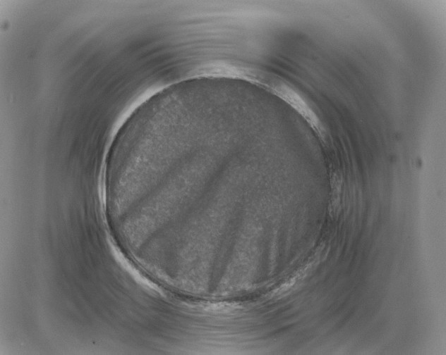 X0000081571084200701291209