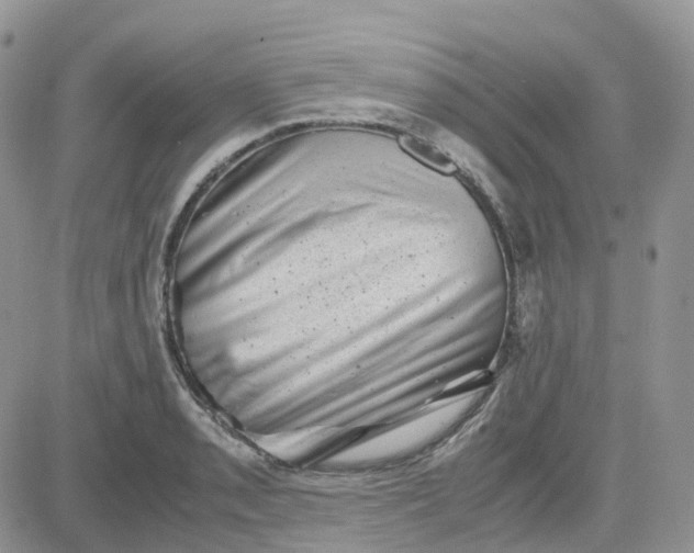 X0000081571085200701291209