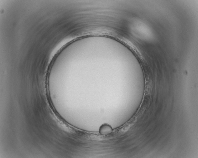 X0000081571086200701291209