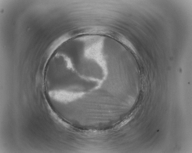 X0000081571087200701291209