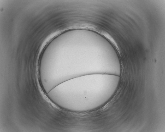 X0000081571088200701291209