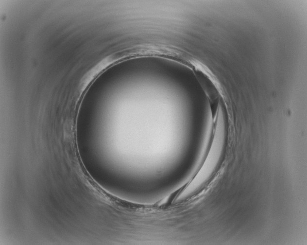 X0000081571089200701291209