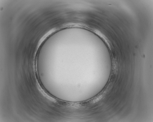 X0000081571090200701291209