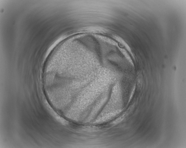 X0000081571091200701291209