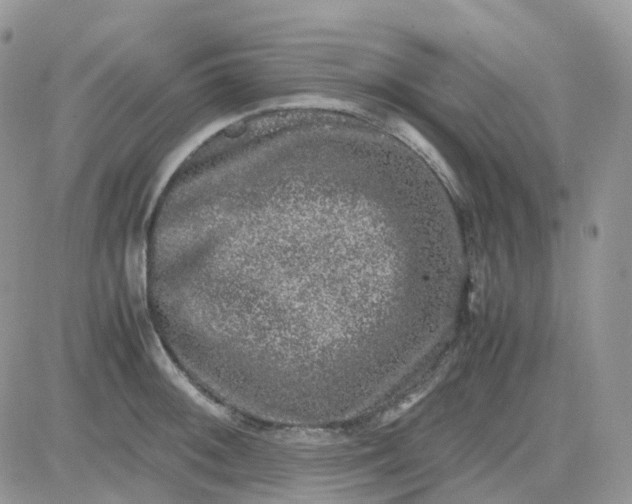 X0000081571092200701291209