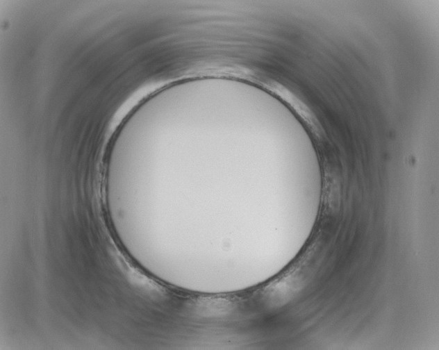 X0000081571094200701291209