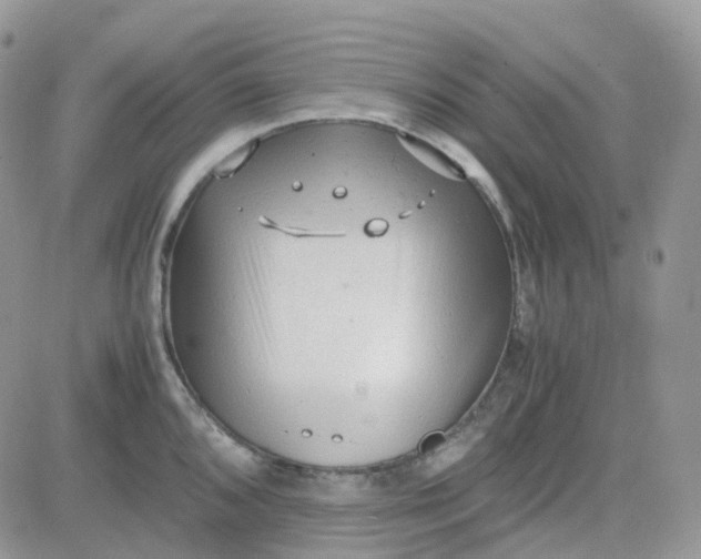 X0000081571096200701291209