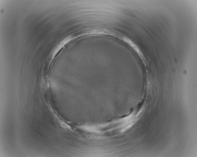 X0000081571097200701291209