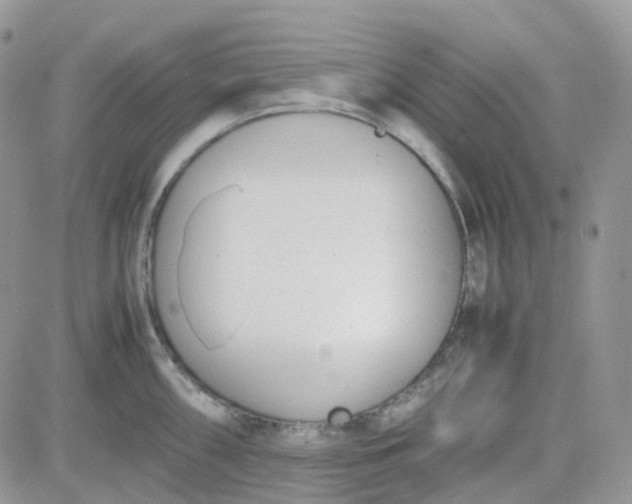 X0000081571098200701291209