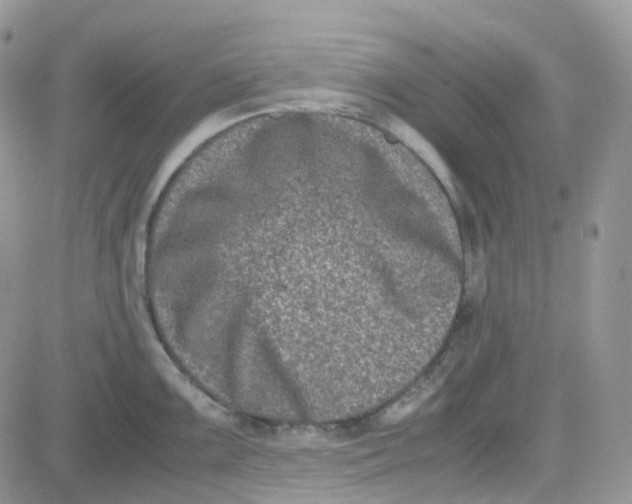 X0000081571099200701291209