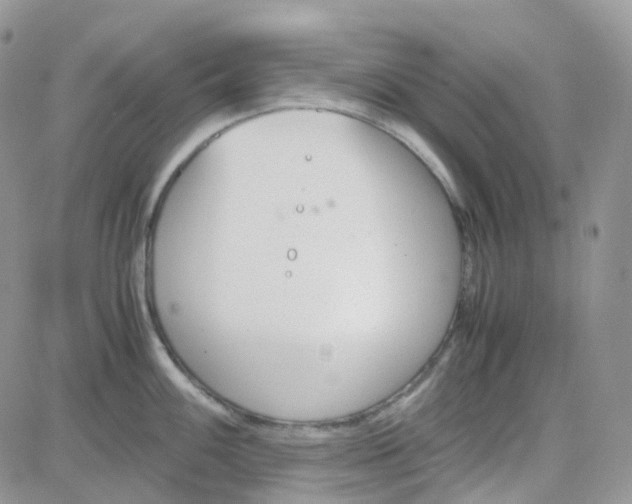 X0000081571100200701291208