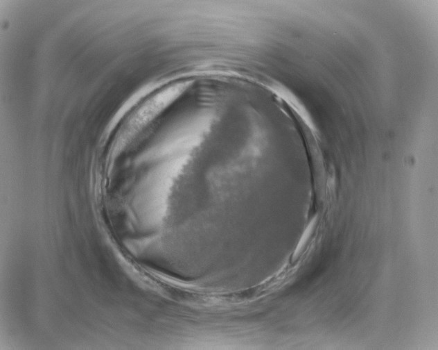 X0000081571101200701291208