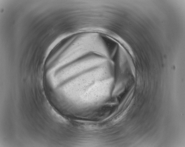 X0000081571102200701291208