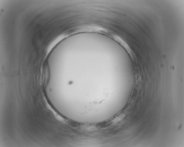 X0000081571103200701291208