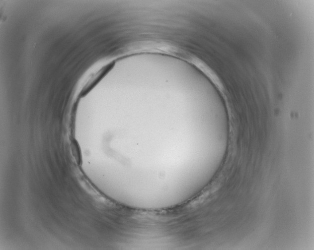 X0000081571104200701291208