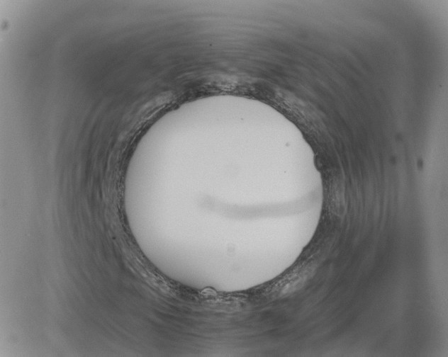 X0000081571105200701291208