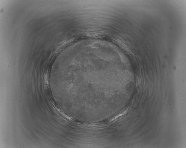 X0000081571106200701291208