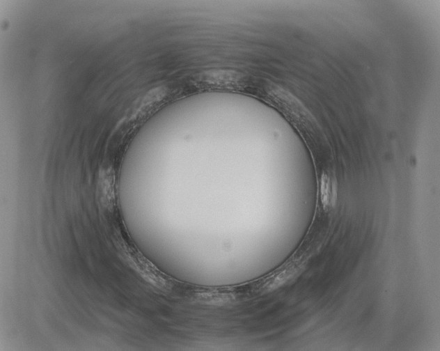 X0000081571107200701291208