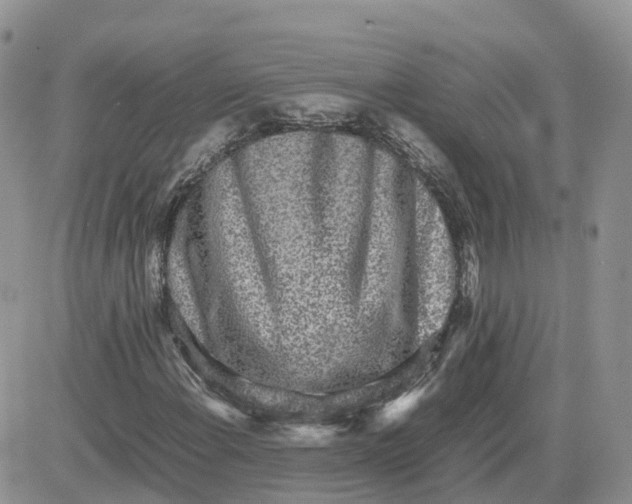 X0000081571108200701291208