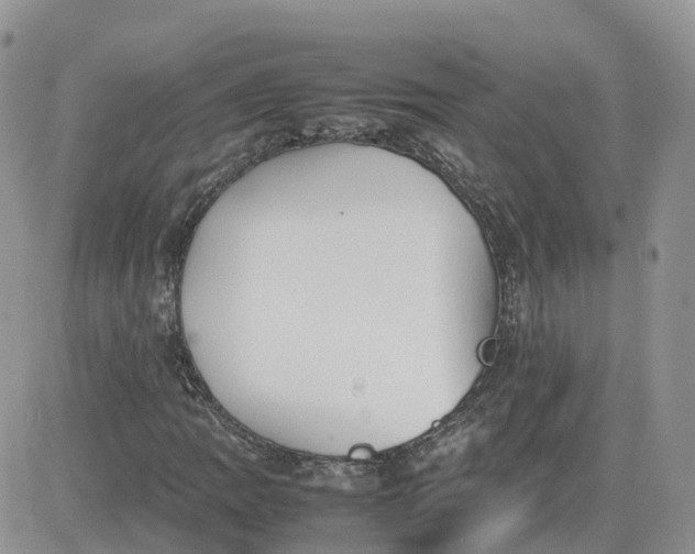 X0000081571109200701291208