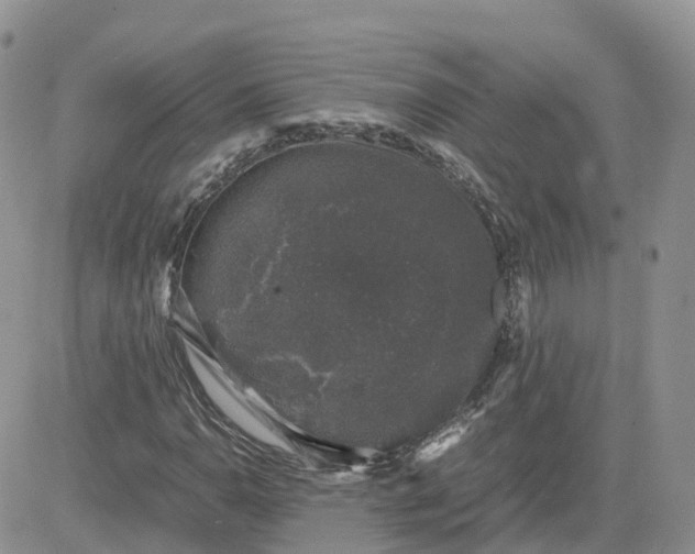 X0000081571110200701291208