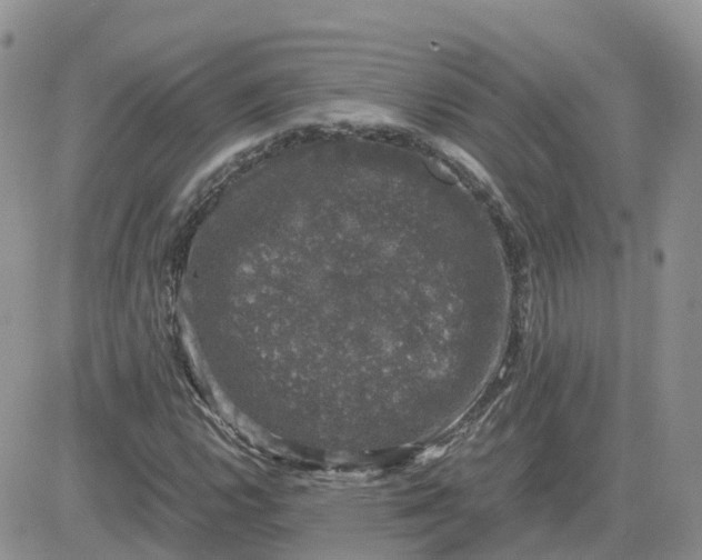 X0000081571112200701291208