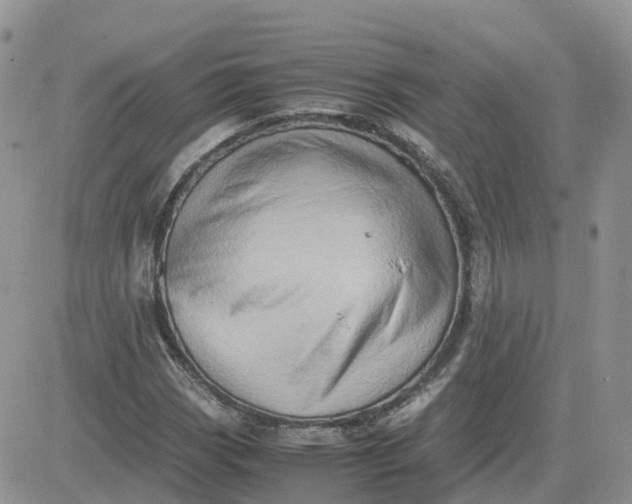 X0000081571113200701291208