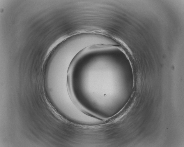 X0000081571114200701291208