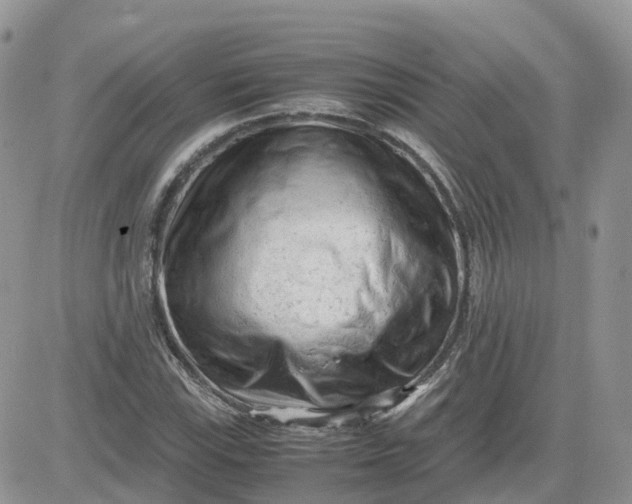 X0000081571115200701291208