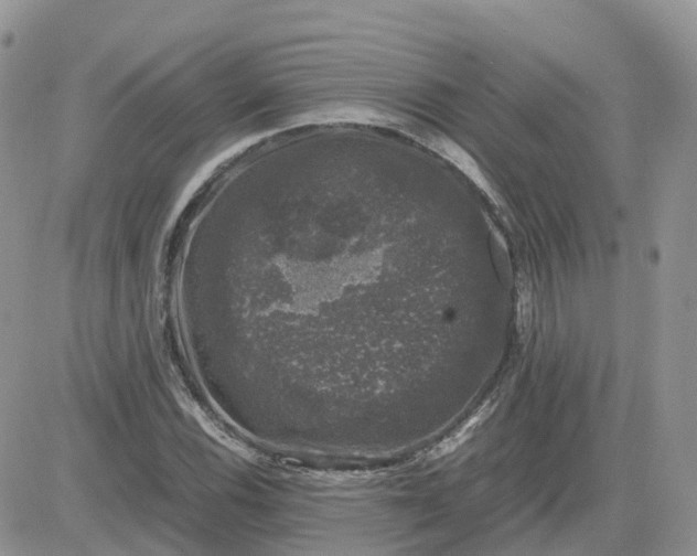 X0000081571116200701291208