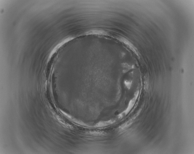 X0000081571117200701291208