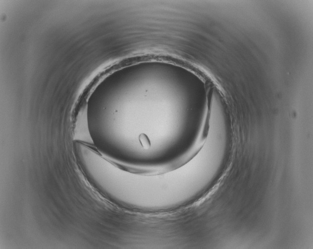 X0000081571118200701291208