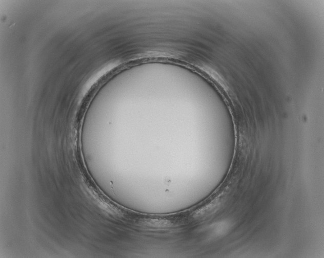 X0000081571119200701291208