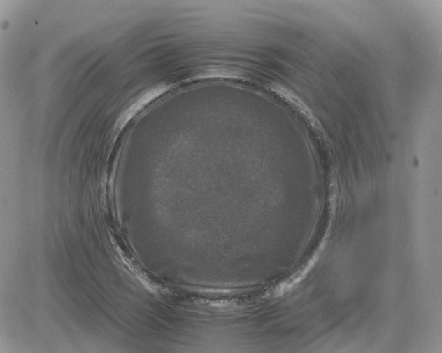 X0000081571121200701291208