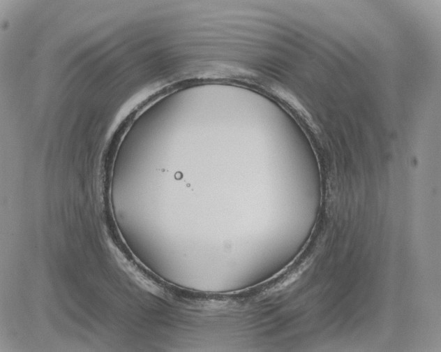 X0000081571122200701291208