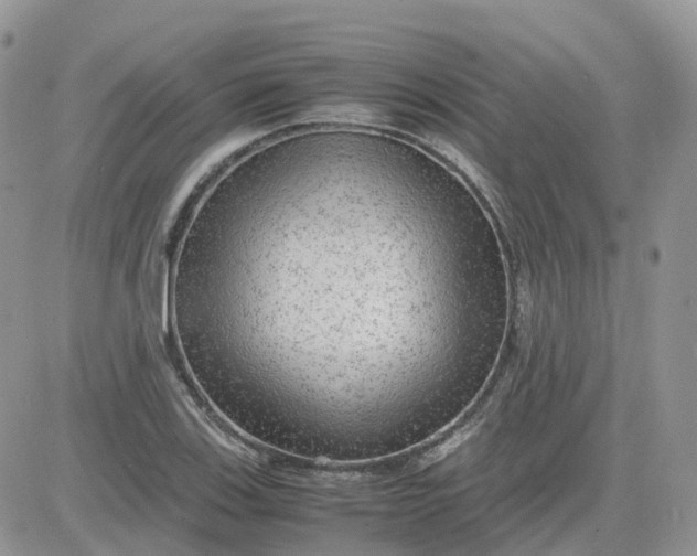 X0000081571123200701291208