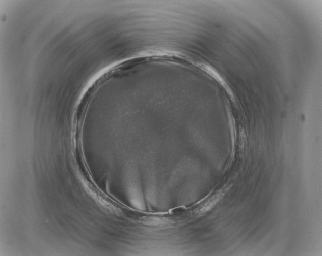 X0000081571124200701291208