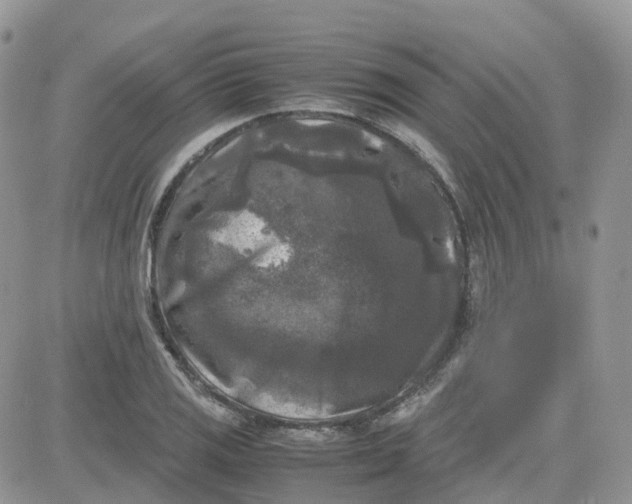 X0000081571125200701291208