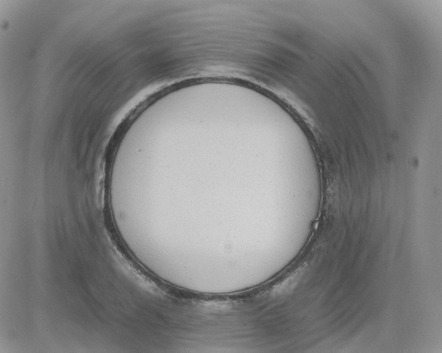 X0000081571126200701291208